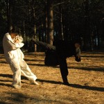 As the Sifu in THE HURRICANE FIST.